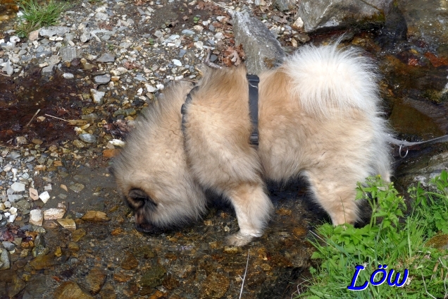 21.4.2025 - Quellenbach